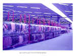 basi car..jpg (127469 byte)